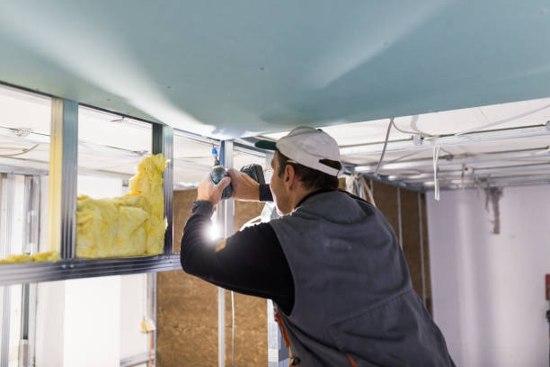 Best Residential Insulation in Edenton, NC